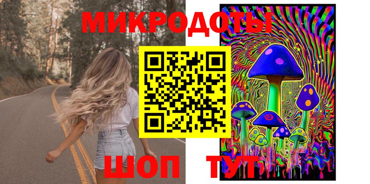 Псилоцибиновые грибы Psilocybine cubensis Протвино